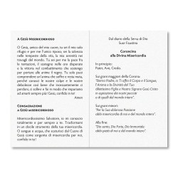 Biglietto in carta perlata con preghiera a Gesù Misericordioso