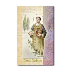 Biglietto con biografia e preghiera a Santo Stefano