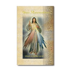 Biglietto con biografia e preghiera a Gesù Misericordioso