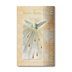 Biglietto con biografia e preghiera allo Spirito Santo