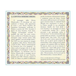 Biglietto con medaglia e preghiera Gesù Misericordioso
