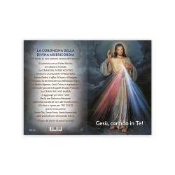 Statuetta bidimensionale di Gesù Misericordioso con preghiera e biografia