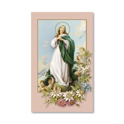 Santino dai toni pastello della Madonna Assunta
