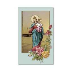 Santino dai toni pastello della Madonna Ausiliatrice