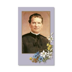 Santino dai toni pastello di San Giovanni Bosco