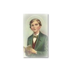 Santino San Domenico Savio con preghiera