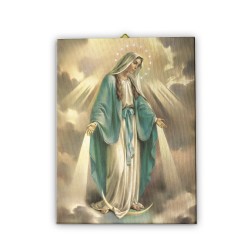 Tela pittorica intelaiata della Madonna Miracolosa