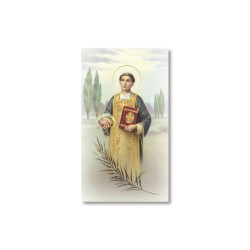 Santino Santo Stefano con preghiera