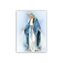 Mini poster con la Madonna Miracolosa