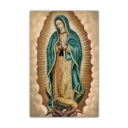 Stampa in formato postale con l'immagine della Madonna di Guadalupe