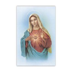 Stampa in formato postale con l'Immacolato Cuore di Maria in un delicato sfondo azzurro