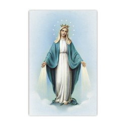 Stampa in formato postale con la Madonna Miracolosa in un delicato sfondo azzurro