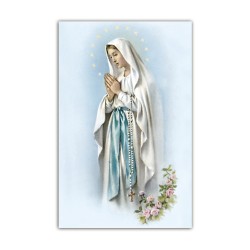 Stampa in formato postale con la Madonna di Lourdes in un delicato sfondo azzurro