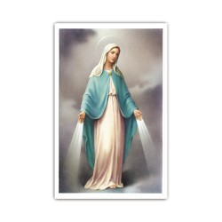 Stampa in formato postale con la Madonna Miracolosa