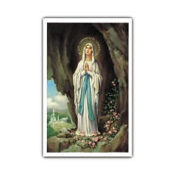 Stampa in formato postale con la Madonna di Lourdes