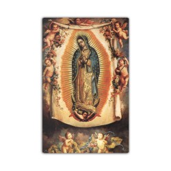 Stampa in formato postale con la Madonna di Guadalupe