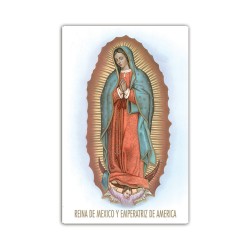 Stampa in formato postale con la Madonna di Guadalupe
