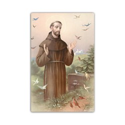 Stampa in formato postale con San Francesco