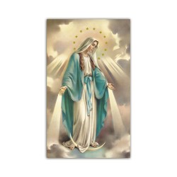 Stampa in formato postale con la Madonna Miracolosa