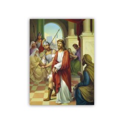 La Via Crucis di Vicentini