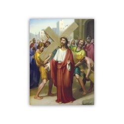 La Via Crucis di Vicentini
