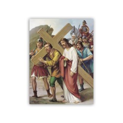 La Via Crucis di Vicentini