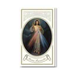 Biglietto con preghiera e biografia a Gesù Misericordioso