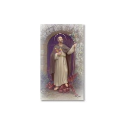 Santino San Guglielmo con preghiera