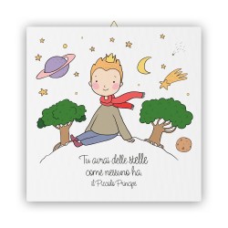 Tela 30x30 cm del Piccolo Principe con pianeta