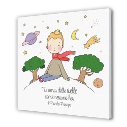 Tela 30x30 cm del Piccolo Principe con pianeta