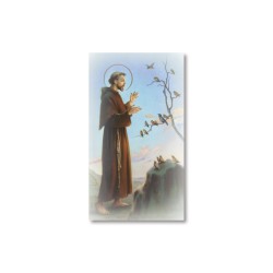 Santino San Francesco che predica agli uccelli con preghiera
